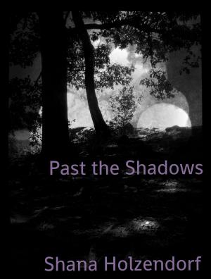 Book cover of Past The Shadows