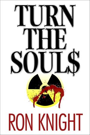 Cover of the book Turn the Souls by L. J. Kritz