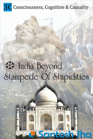 Cover of India Beyond Stampede Of Stupidities (Revised & Updated)