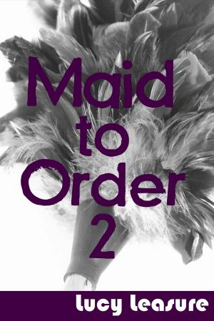 Cover of the book Maid to Order 2 by Shelly Thacker