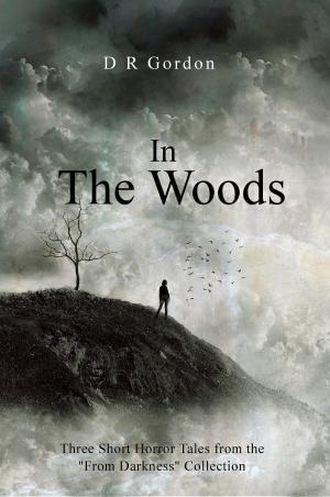 Cover of the book In the Woods by Rachel Rossano