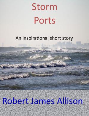 Cover of the book Storm Ports by Robert James