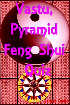 Cover of the book Vastu, Pyramid, Feng Shui Quiz by R.D. Shar