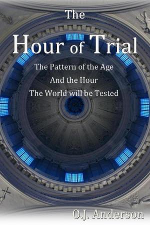 Cover of the book The Hour of Trial: The Pattern of the Age and the Hour the World Will Be Tested by tiaan gildenhuys