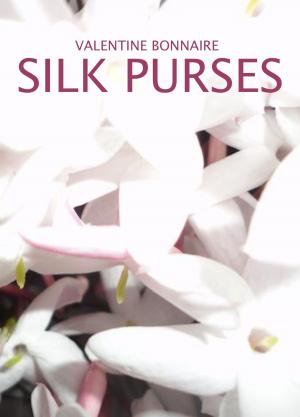 Book cover of Silk Purses