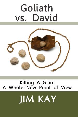 Cover of the book Goliath vs. David by Angela Carlie