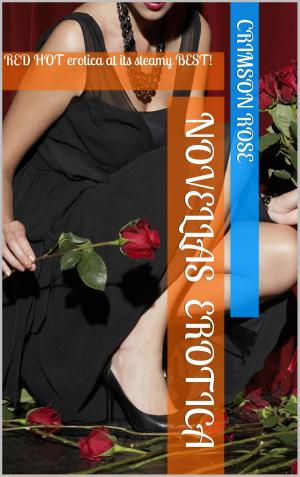 Book cover of Novellas Erotica