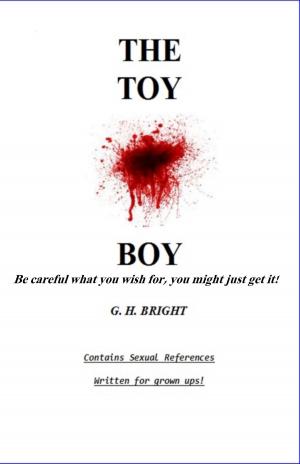 Cover of the book The Toy Boy by Melanie J.