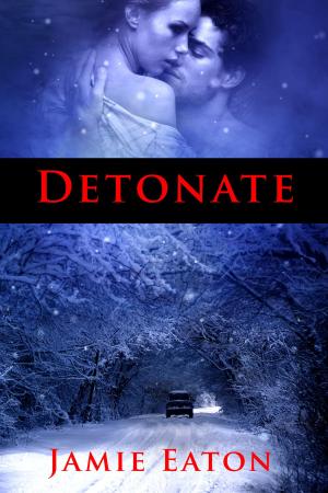 Cover of the book Detonate by Kali Zunn, Nikki Bolvair