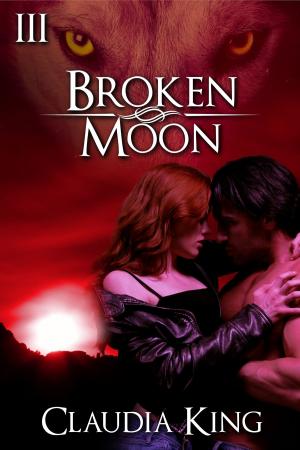 Cover of the book Broken Moon: Part 3 by Jennifer Raygoza