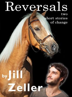 Cover of the book Reversals: Two Short Stories of Change by Jill Morrison