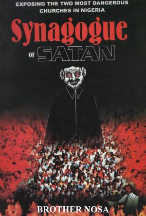 Cover of the book Synagogue of Satan (Exposing the two most dangerous churches in Nigeria) by Derek Williams, Robert F. Hicks, Andrew Stobart