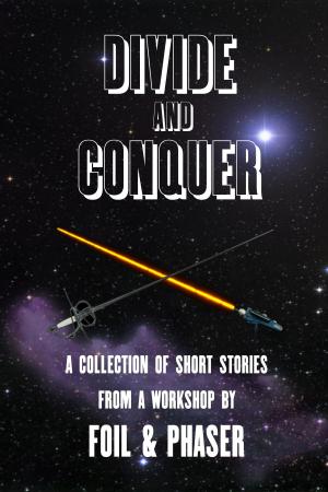 Cover of the book Divide and Conquer Volume One by Karen Barnes