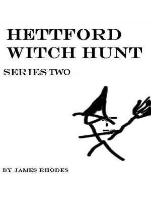 bigCover of the book Hettford Witch Hunt: Series Two by 