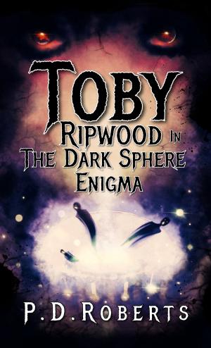 Cover of the book Toby Ripwood in The Dark Sphere Enigma by Duncan Jefferson