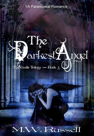 Book cover of The Darkest Angel: The Castle Trilogy