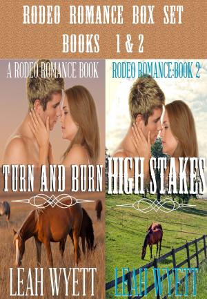 Book cover of Rodeo Romance Box Set - Books 1 & 2 (Contemporary Cowboy Romance)