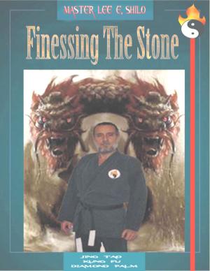 Book cover of Finessing The Stone