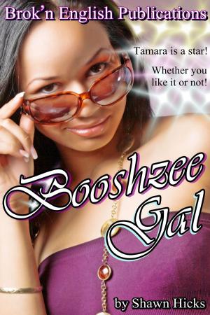 Book cover of Booshzee Gal