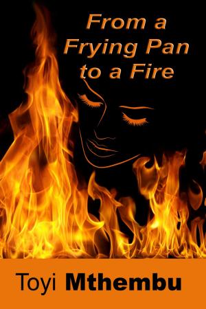 Book cover of From A Frying Pan To The Fire