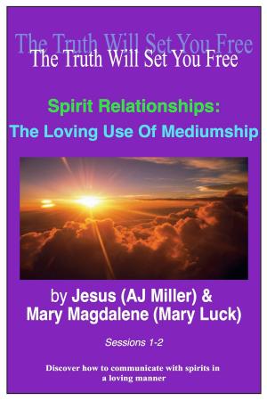 Cover of Spirit Relationships: The Loving Use of Mediumship Sessions 1-2