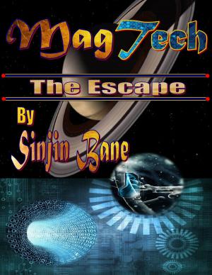 Cover of the book MagTech by Kate Farrell