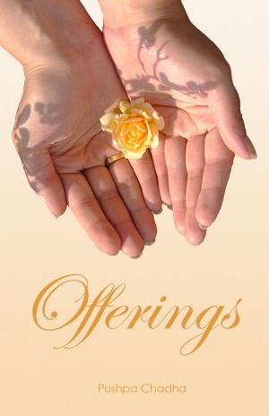 Cover of the book Offerings by Lily O'Brien