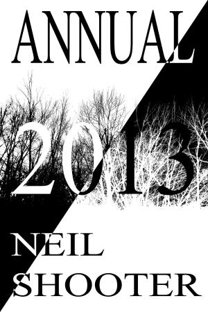 Book cover of Annual 2013