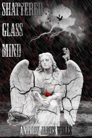 Book cover of Shattered Glass Mind
