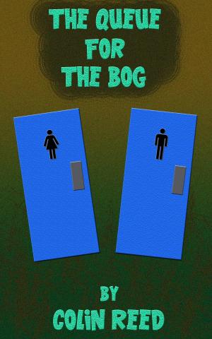 Cover of the book The Queue for the Bog by Paul Hourihan