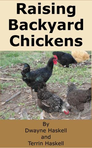 bigCover of the book Raising Backyard Chickens by 