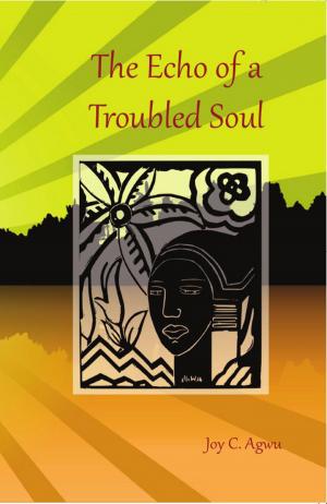 Book cover of The Echo of a Troubled Soul