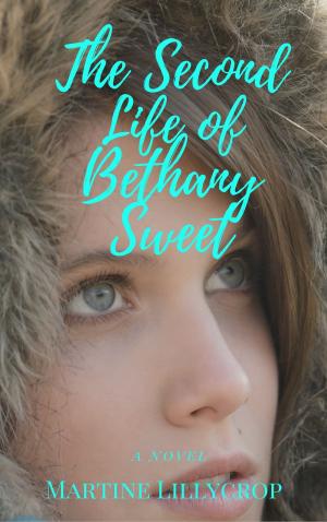 Cover of the book The Second Life of Bethany Sweet by Shannon McRoberts