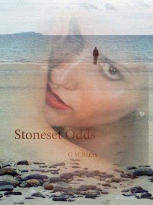 Cover of the book Stoneset Odds by Natasza Waters