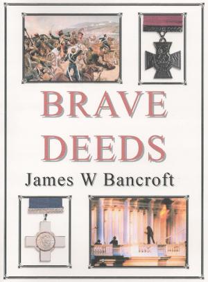 Book cover of Brave Deeds