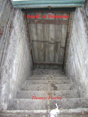Cover of the book Death Is Fraternal by Stephen Pytak