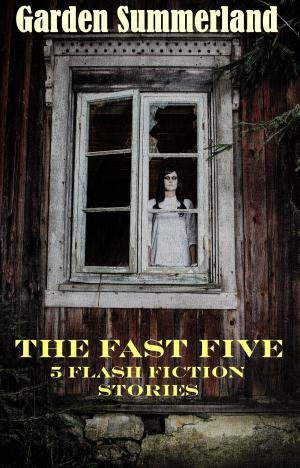 Book cover of The Fast Five: 5 Flash Fiction Stories