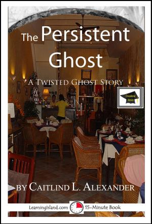 Book cover of The Persistent Ghost: A 15-Minute Ghost Story, Educational Version