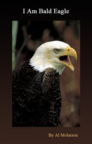 Cover of the book I Am Bald Eagle by Chanda Hahn