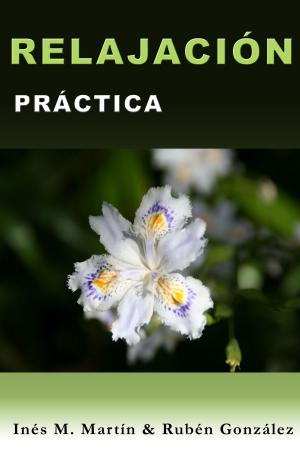 Cover of the book Relajación Práctica by Thomas Schlayer