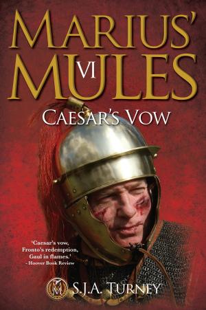 Cover of the book Marius' Mules VI: Caesar's Vow by Meara Platt