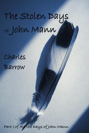 Cover of the book The Stolen Days of John Mann by Jeff Edwards