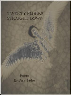 Cover of the book Twenty Floors Straight Down by Pedro Garcia Rosado