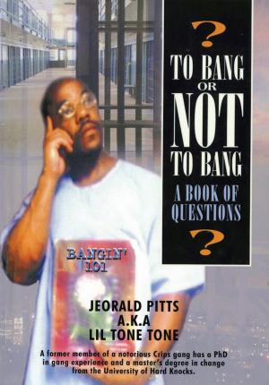Cover of the book To Bang or Not to Bang? A Book of Questions by Dean Hodel
