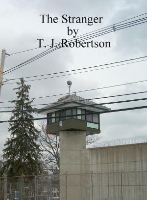 Cover of the book The Stranger by T. J. Robertson