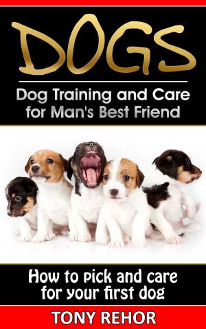 Cover of the book Caring For Your First Dog by Anat Tour
