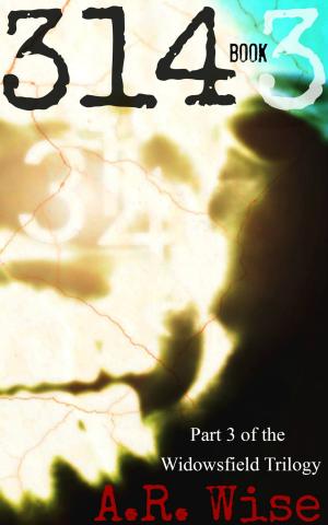 Cover of the book 314 Book 3 by Jorey Hurley