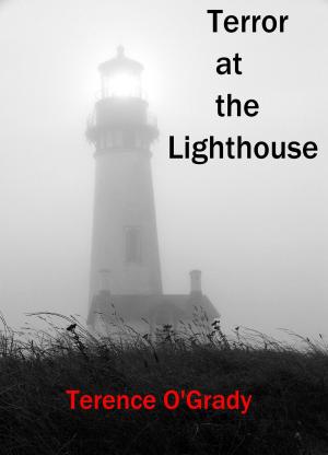 Book cover of Terror at the Lighthouse