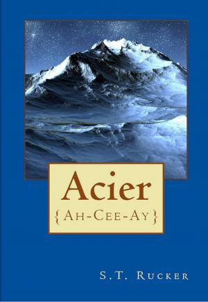 Book cover of Acier