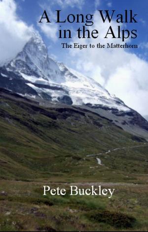 Cover of the book A Long Walk in the Alps: the Eiger to the Matterhorn by Tim Sims